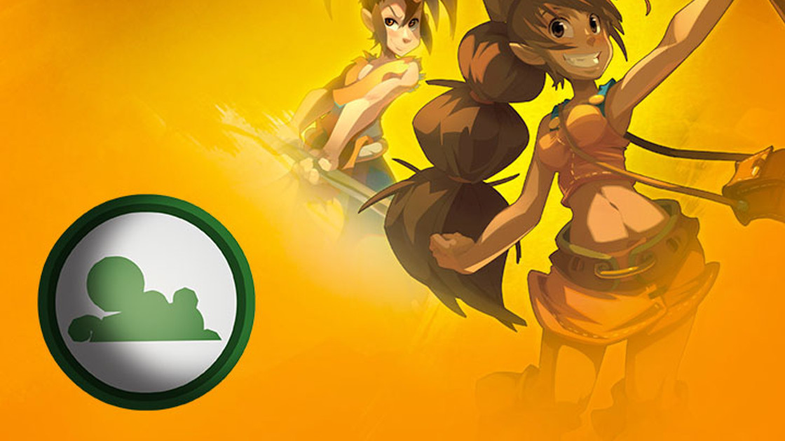 DOFUS : Guide et Stuff du Féca Air