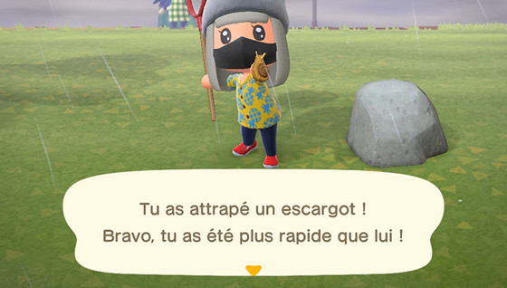 Comment attraper des insectes dans Animal Crossing : New Horizons ?