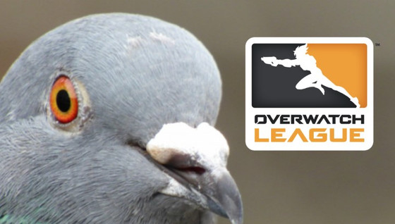 Les équipes de l'Overwatch League deviennent des pigeons
