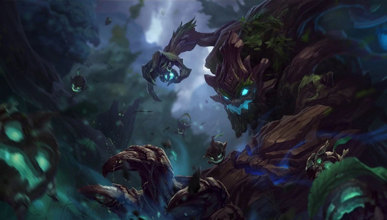 Présentation de Maokai au set 4