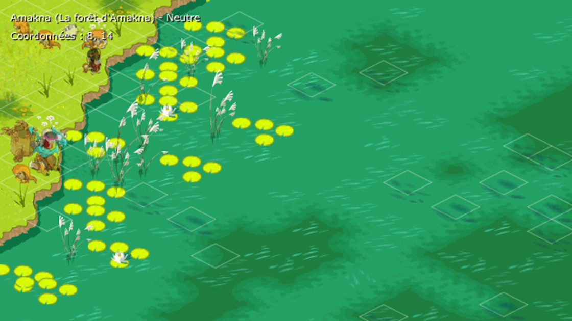 Carte Ressources Dofus, où peut-on trouver la map interactive ?