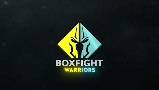 Boxfight Warriors, les grands gagnants