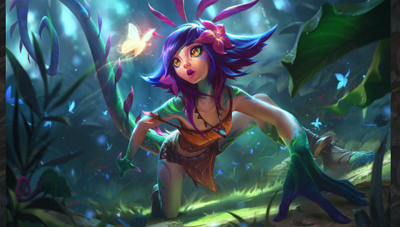 Le guide de la compo Neeko / Soraka Reroll