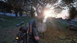 Où trouver des olives dans ARC Raiders ?