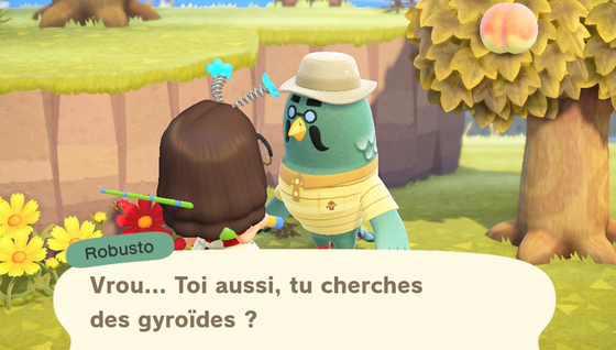 Où se trouve Robusto dans Animal Crossing : New Horizons ?