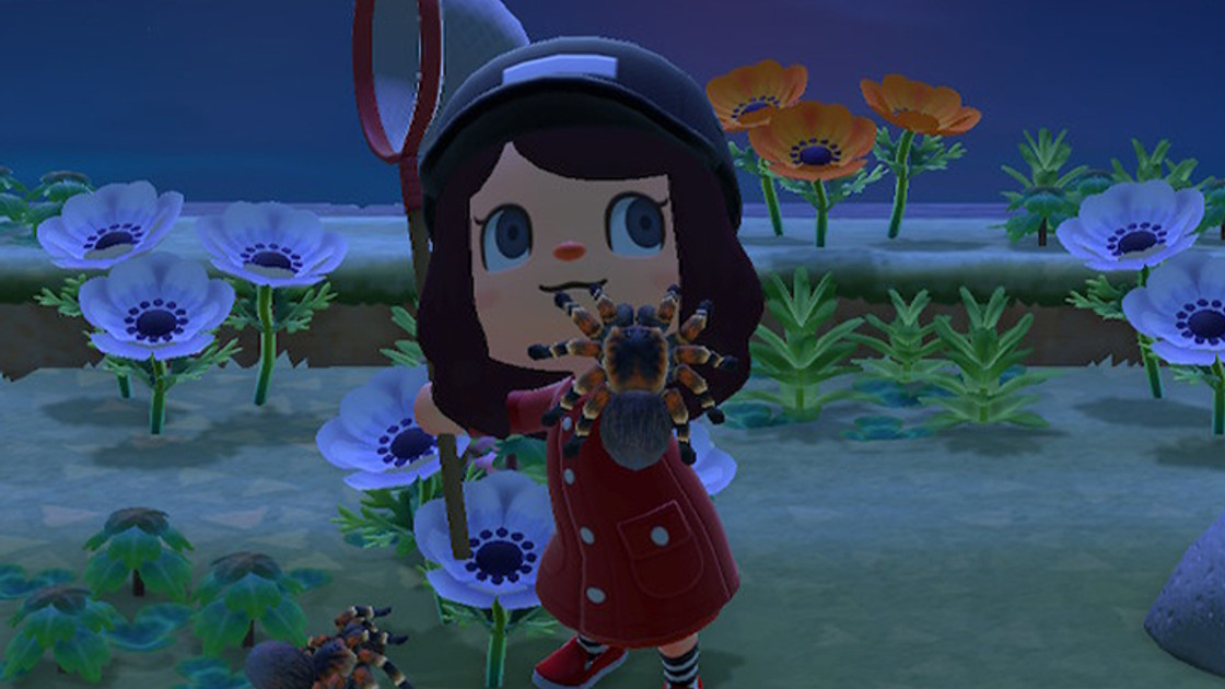 Animal Crossing New Horizons : Îles tarentules, comment s'y rendre ?