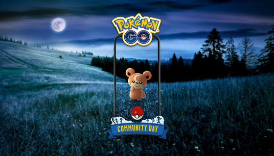 Community Day Teddiursa (shiny) de novembre 2022 sur Pokémon GO