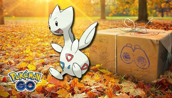 Etude de Terrain : Togetic et Togetic shiny dans Pokémon GO avec les tampons de novembre
