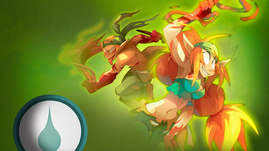 DOFUS : Guide et Stuff du Sacrieur Eau