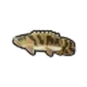 animal-crossing-bichir