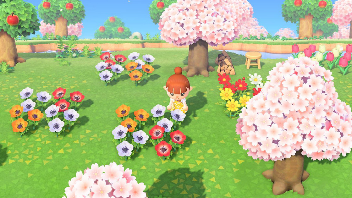 Anémone fleur Animal Crossing New Horizons, comment en avoir ?