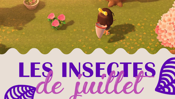 Les insectes à capturer en juillet