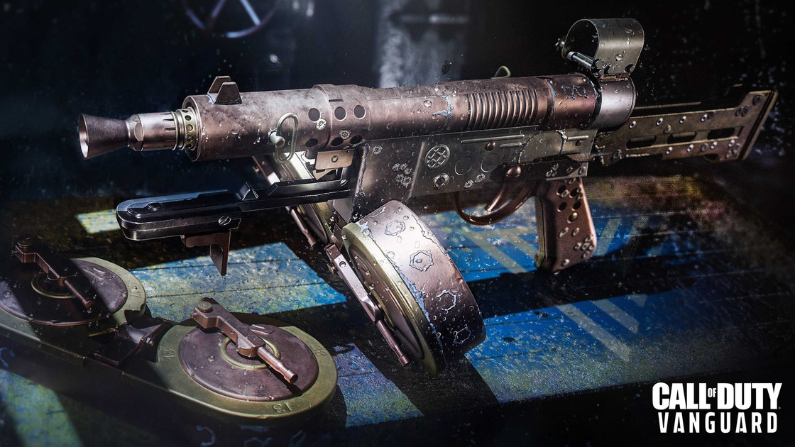 Classe Welgun Warzone, accessoires, atouts et équipements sur Pacific