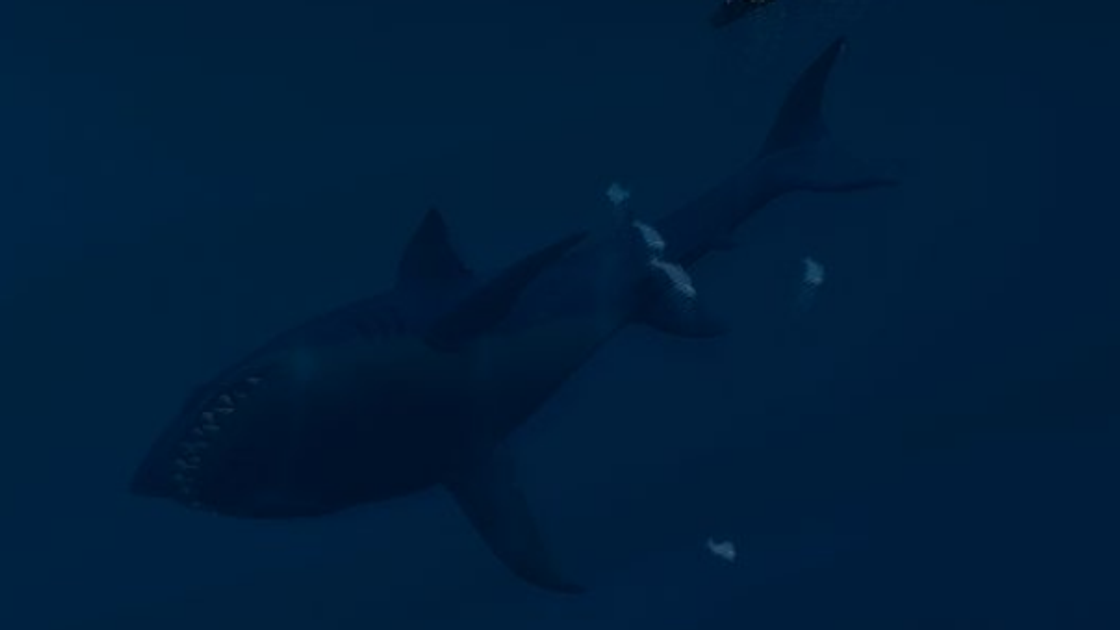 Fortnite : Requins dans l'eau de la tempête, saison 3