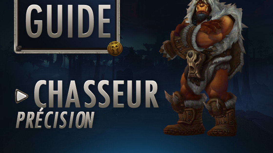 WoW : Guide Chasseur Précision