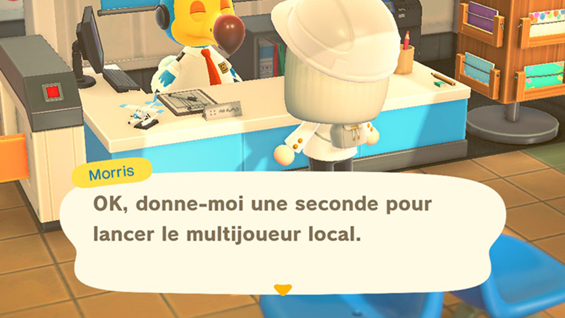 Animal Crossing New Horizons : Jouer à deux, comment ça marche ?