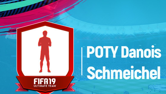 Solution DCE POTY Danois Schmeichel