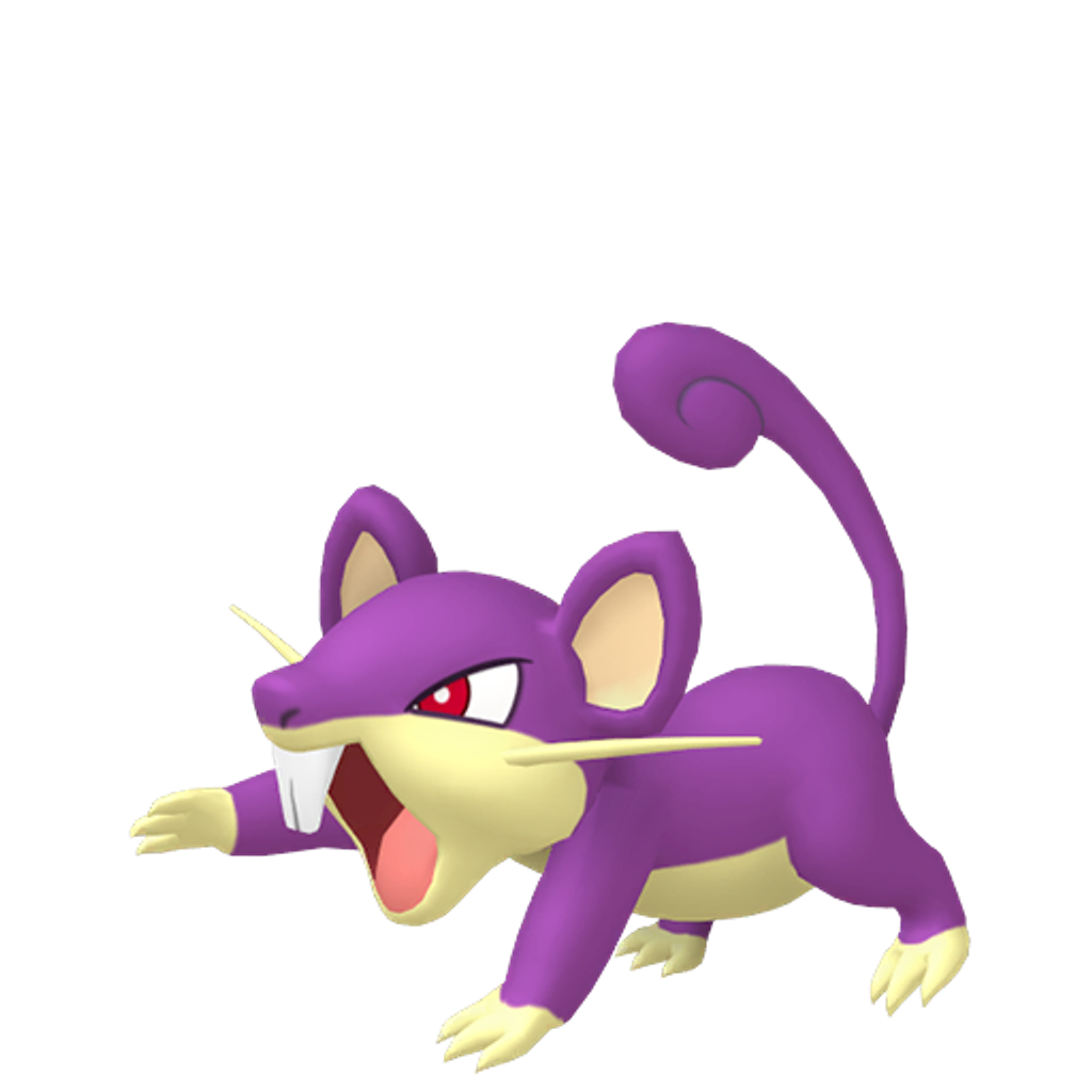 Rattata