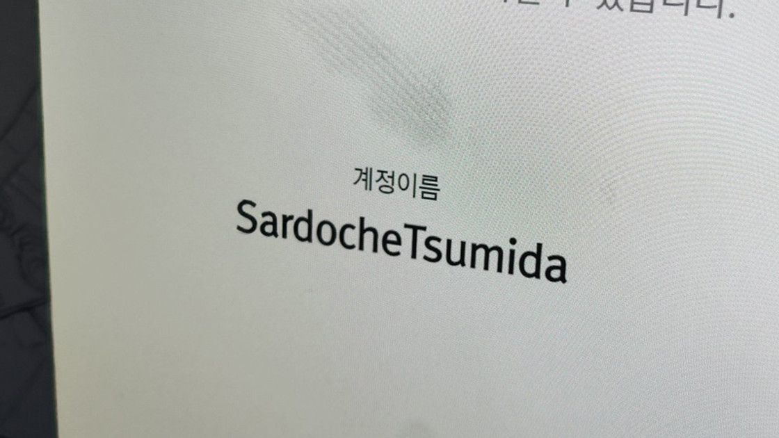 Quel pseudo pour Sardoche sur le serveur coréen ?