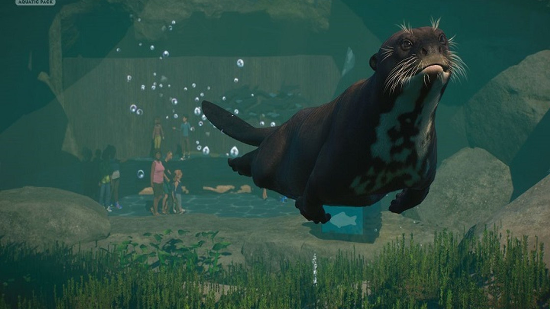 DLC Pack Aquatique de Planet Zoo, nouveaux animaux et décors