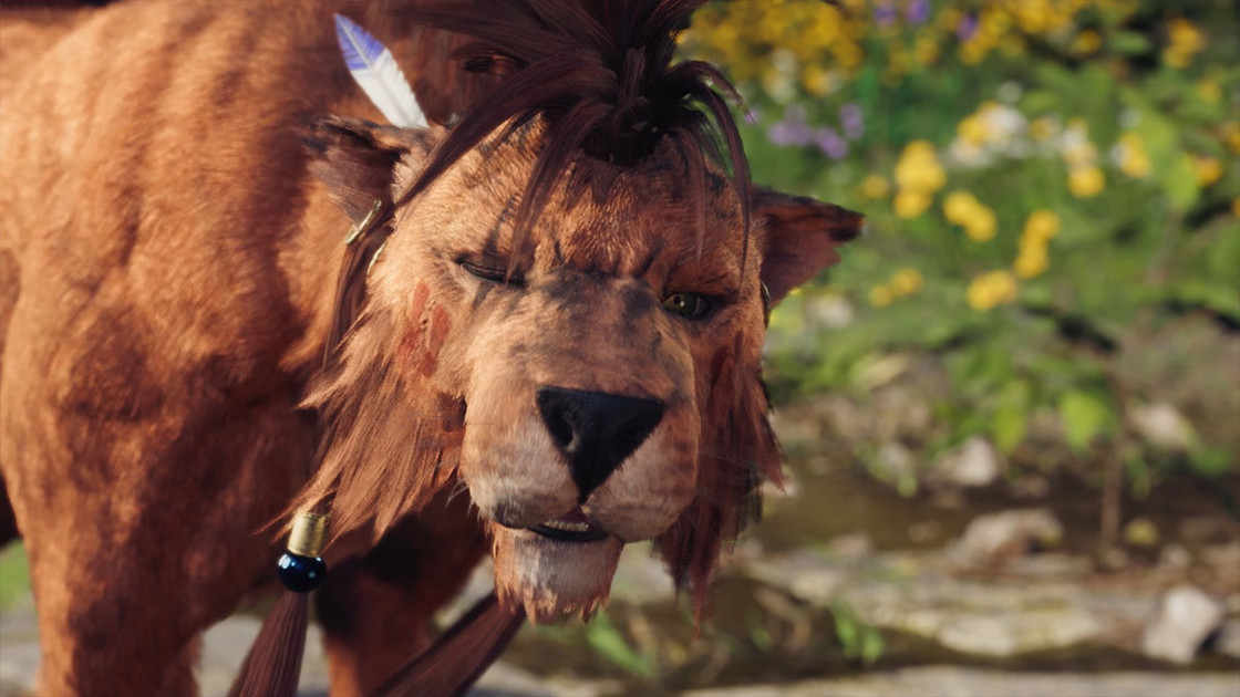 Affinité Red XIII FF7 Rebirth : quels choix de dialogue et comment avoir la romance ?