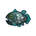 animal-crossing-coelacanthe