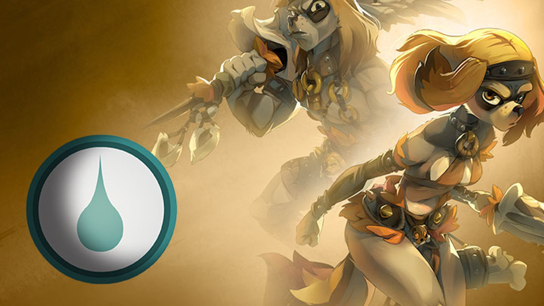 DOFUS : Guide et Stuff de l'Ouginak Eau