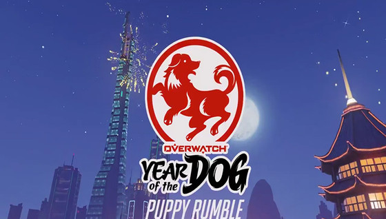 Le Puppy Rumble ce soir !