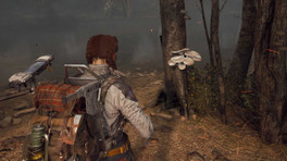 Où trouver des champignons dans ARC Raiders ?