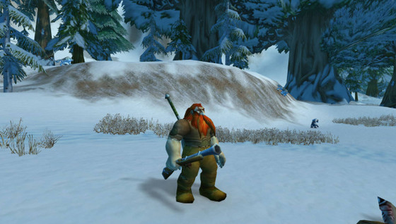 Comment jouer le Chasseur sur WoW Classic SoD ?