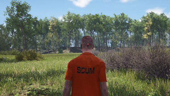 Trouver l'adresse IP des serveurs SCUM