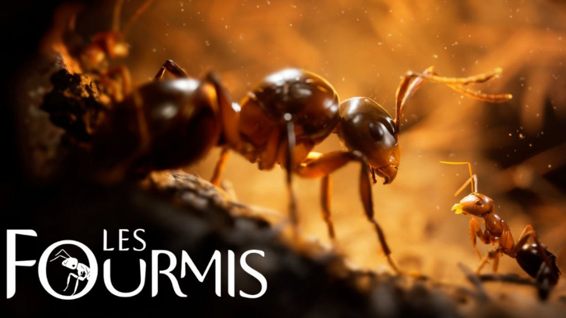 Les fourmis PS5 date de sortie, quand sort le prochain jeu de Microids sur PC et consoles ?