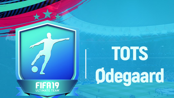 Solution DCE TOTS Martin Odegaard