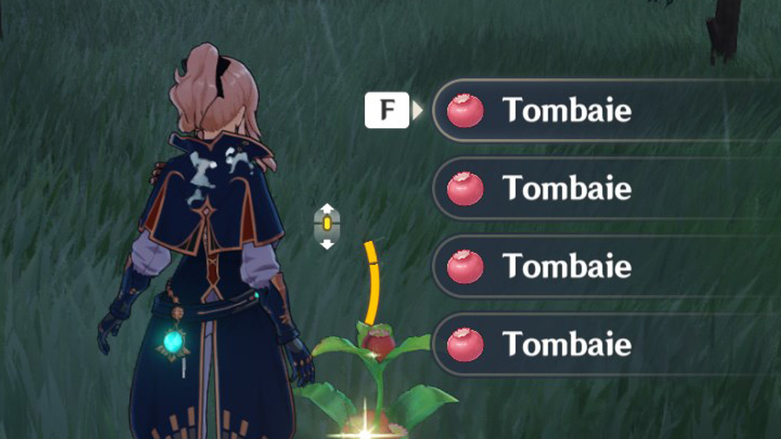 Tombaie Genshin Impact, où en trouver ?