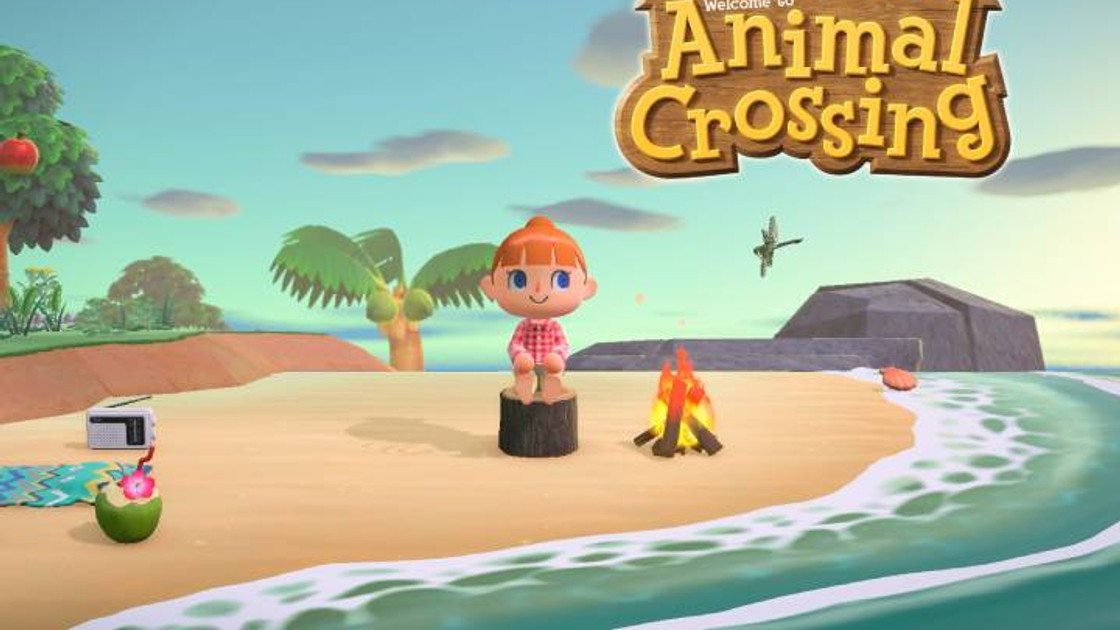 Animal Crossing New Horizons : Choix de l'île et hémisphère, infos et présentation des saisons