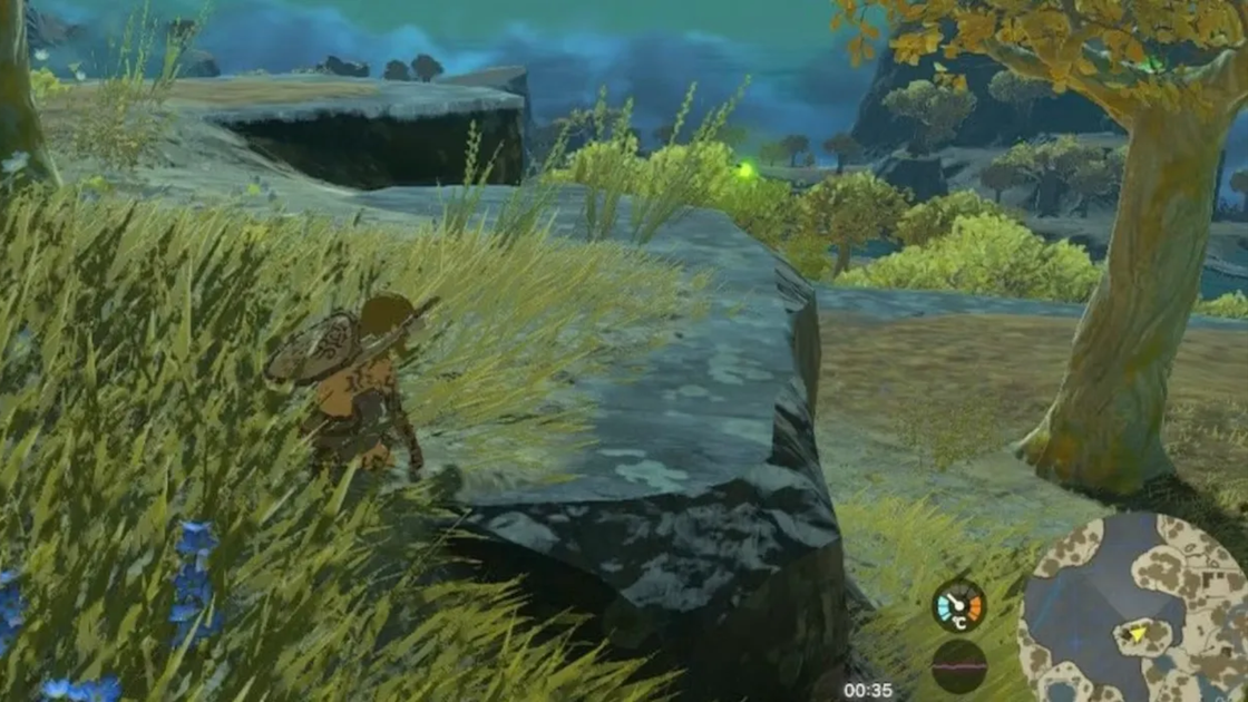 Zelda Tears of the Kingdom : où trouver des lucioles de la sérénité