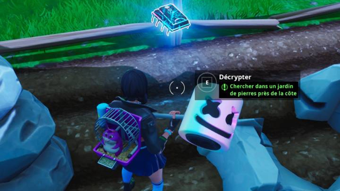 Fortnite : Puce 83 Décryptage, Chercher dans un jardin de pierres près de la côte, Défi