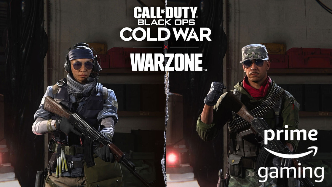 Quel classement pour les World Series of Warzone ?