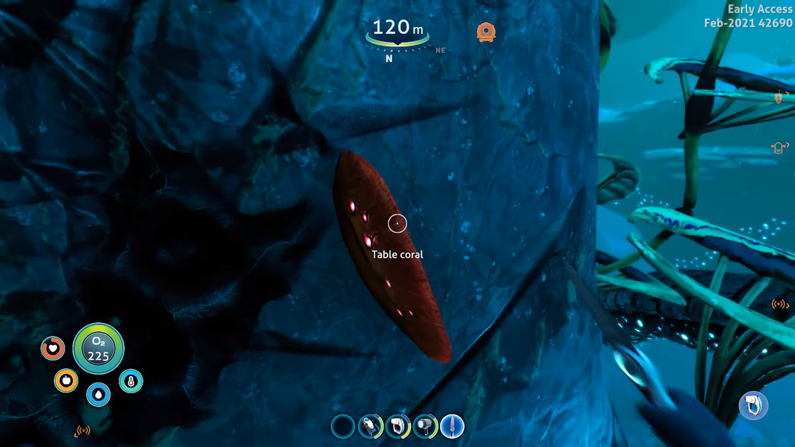 Subnautica Below Zero Corail plat, où en trouver ?