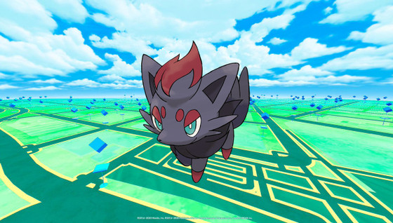 Apparition massive de Zorua sur Pokémon GO