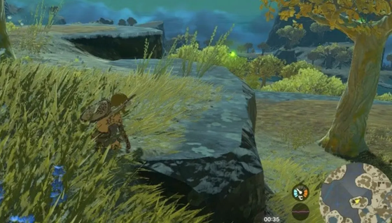 Zelda Tears of the Kingdom : où trouver des lucioles de la sérénité