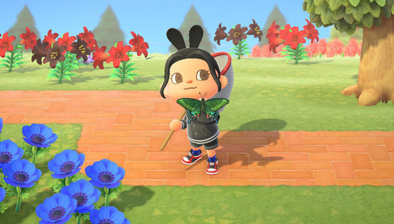 Prix des insectes sur Animal Crossing New Horizons