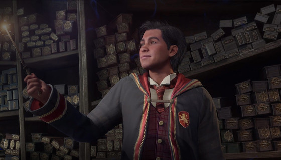Idées de sorts, traits et talents pour incarner vos héros préférés dans Hogwarts Legacy