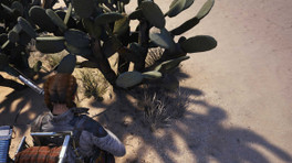 Où trouver les figues de Barbarie dans ARC Raiders ?