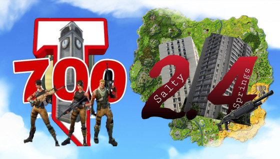 Logo 700t et 2.4 Salty Fortnite : où trouver les images pour votre clan sur Tiktok ?