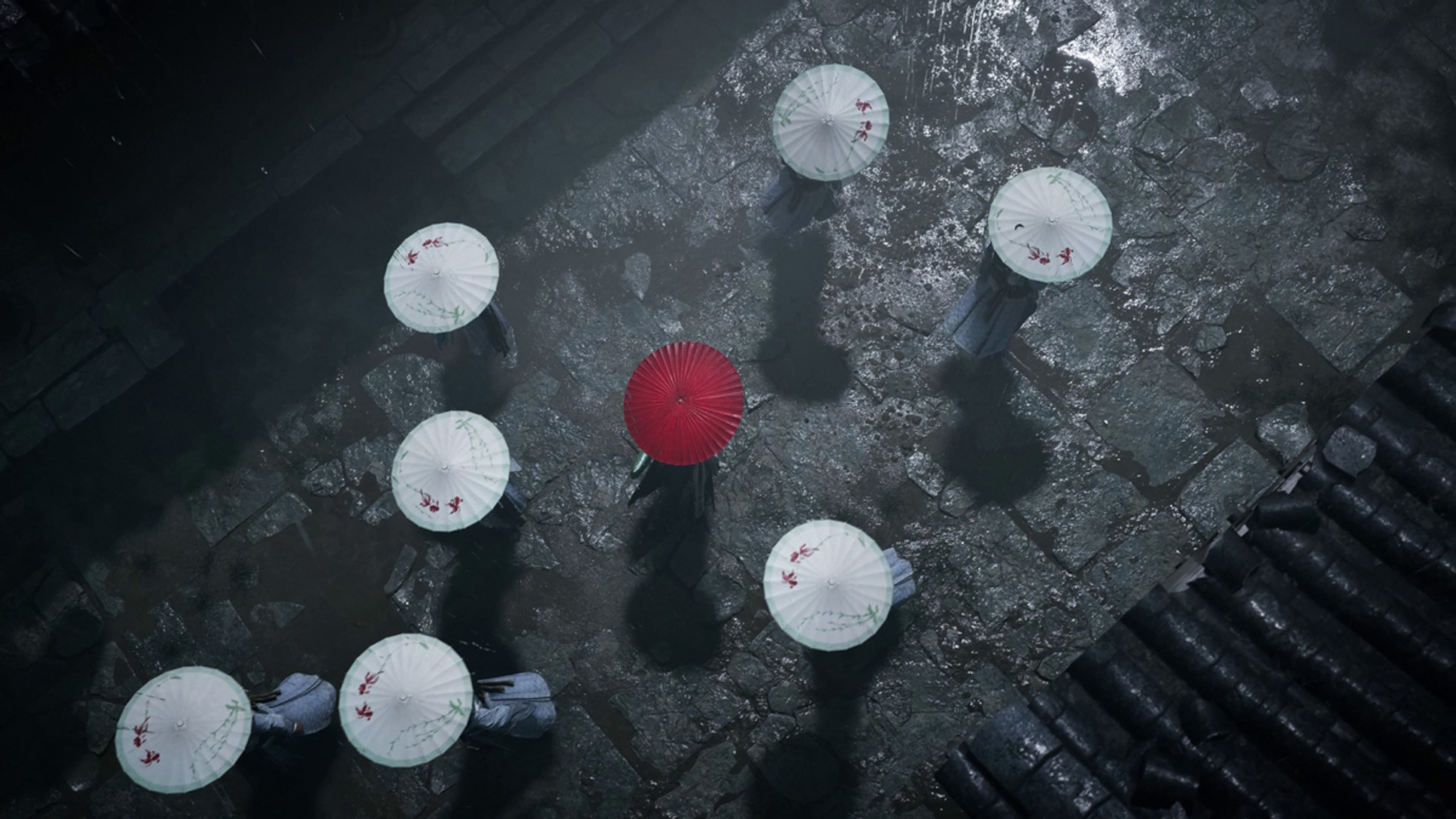 54901558543_b8fa9488b9_k