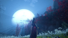 Wuchang Fallen Feathers : à quel point le jeu est-il difficile ?