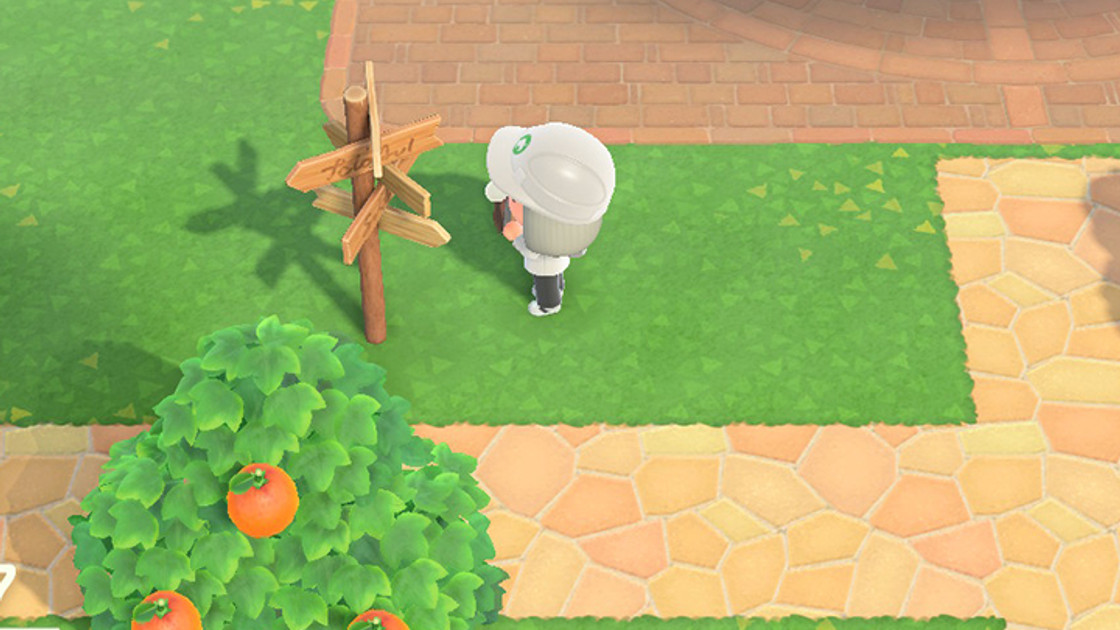 Animal Crossing New Horizons : Aménagement extérieur de l'île, comment ça marche ?