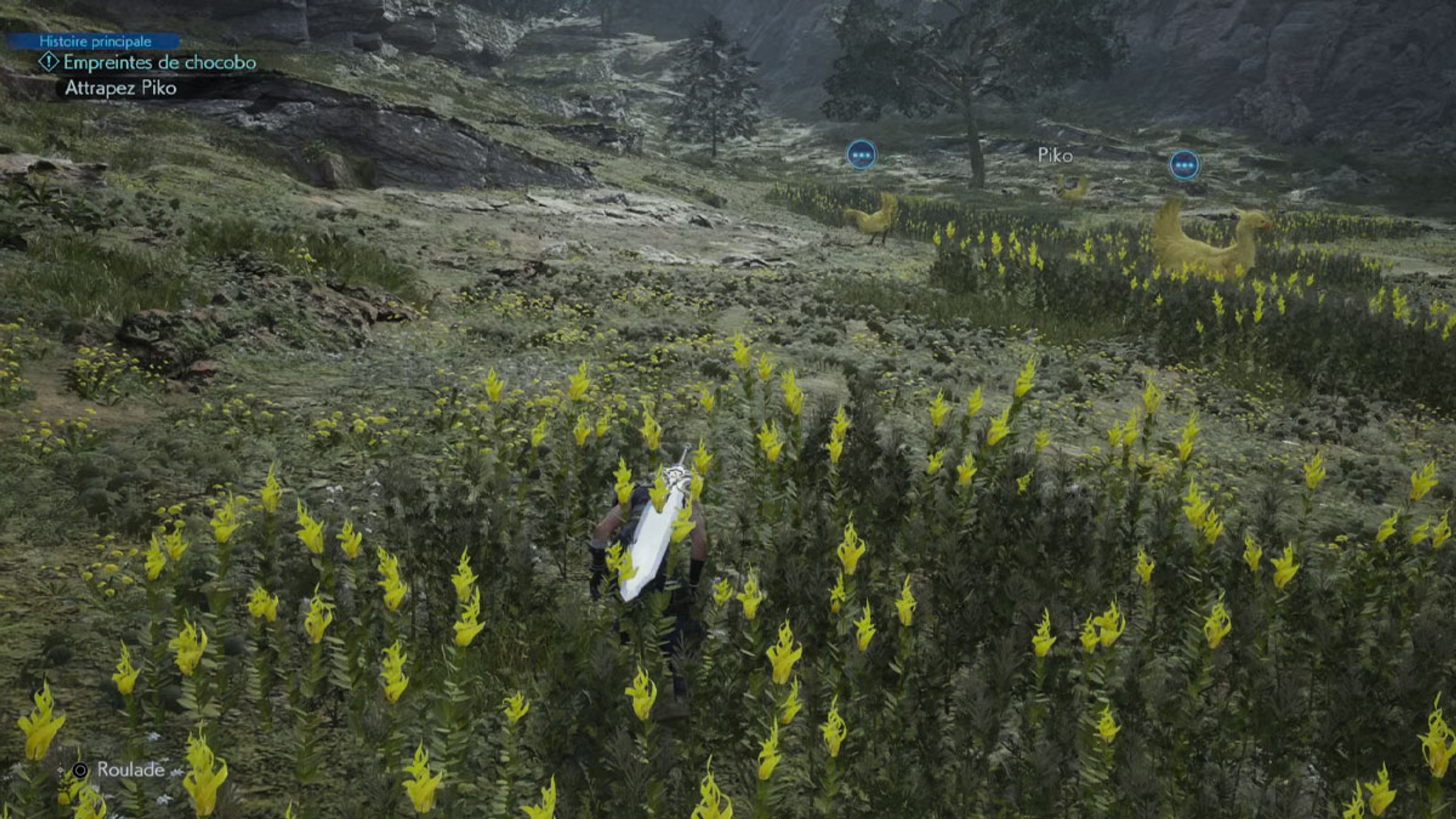 chocobo-prairie-1