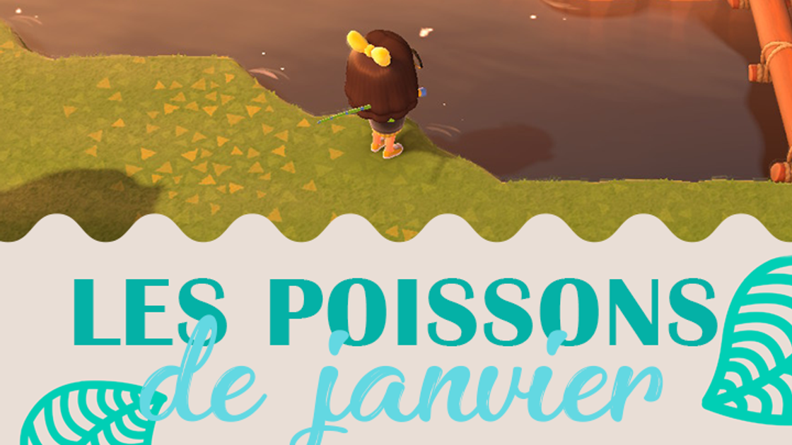 Poissons du mois de janvier dans Animal Crossing New Horizons, hémisphère nord et sud